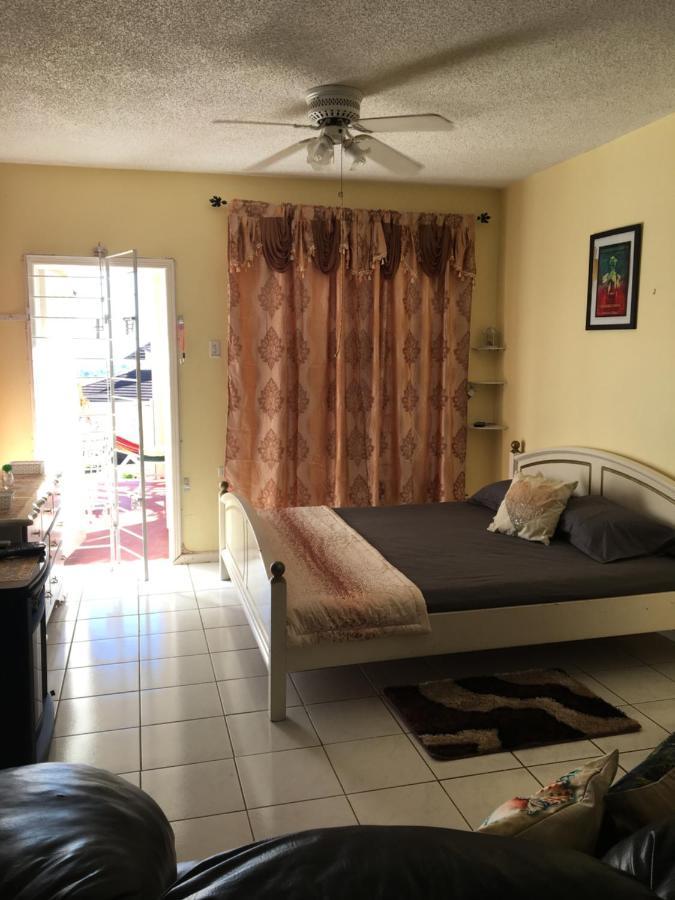 #D1 Castle Studio Wifi King Bed Ocho Rios Jamaica Luaran gambar