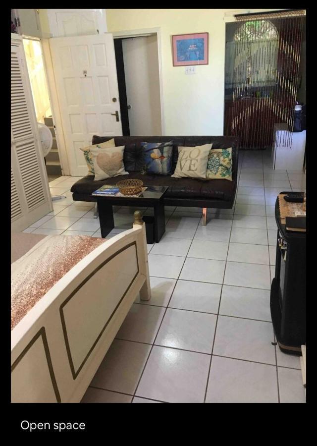 #D1 Castle Studio Wifi King Bed Ocho Rios Jamaica Luaran gambar